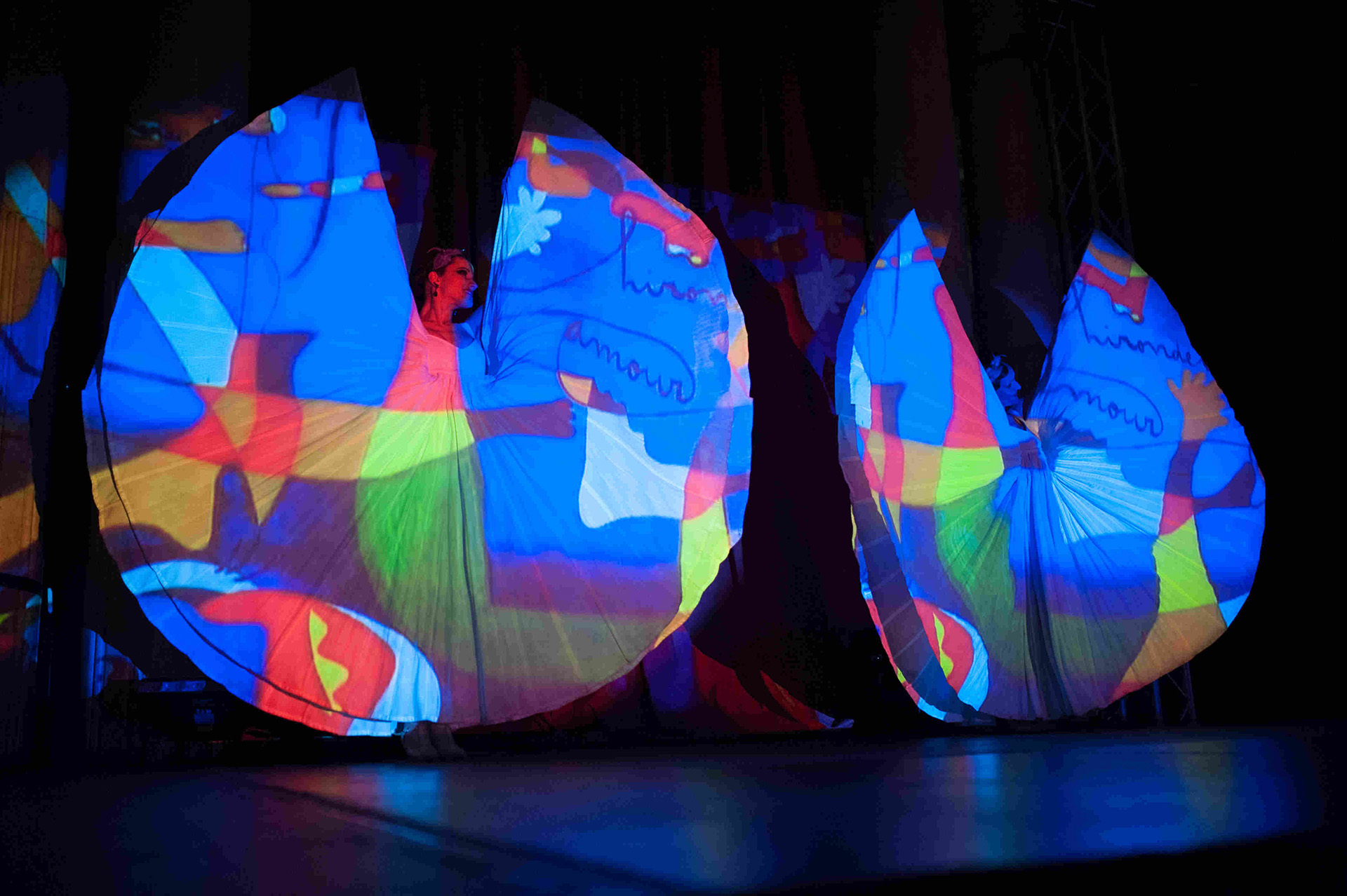 Espectáculo con bailarina Screen Dancers