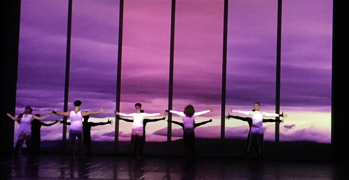 RD, Girasomnis Signature Show