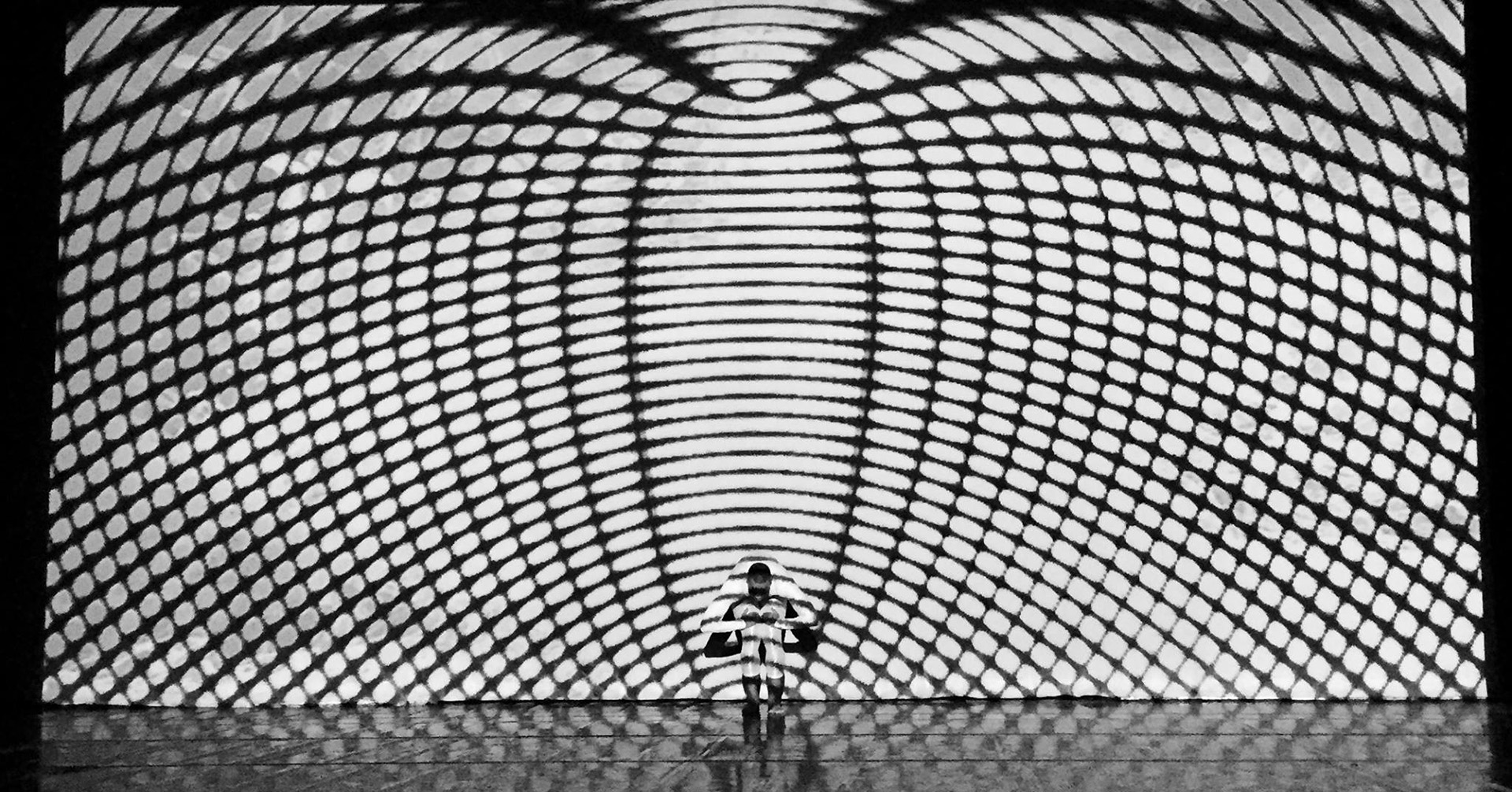 RD, Girasomnis Signature Show