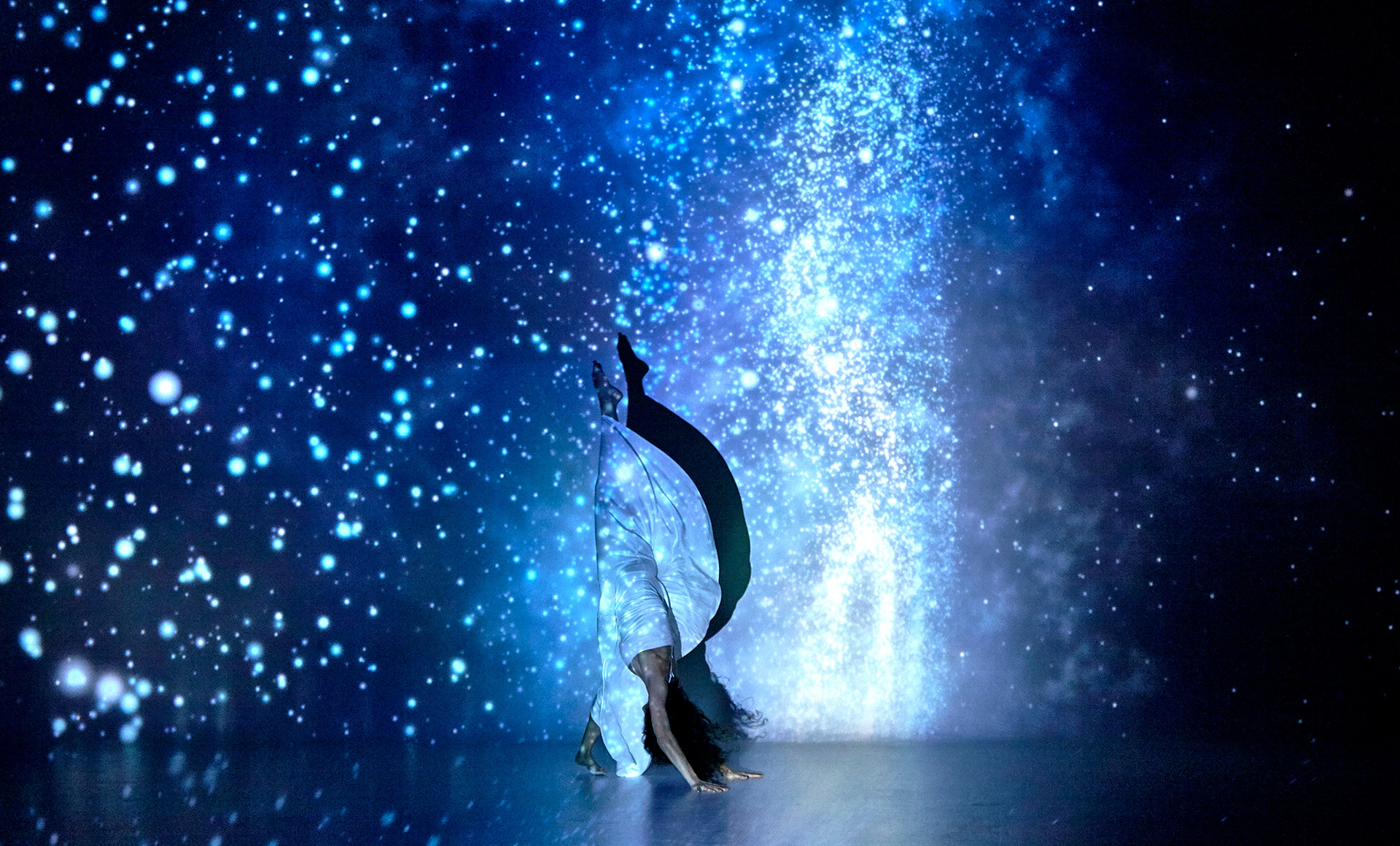 Girasomnis Signature Show