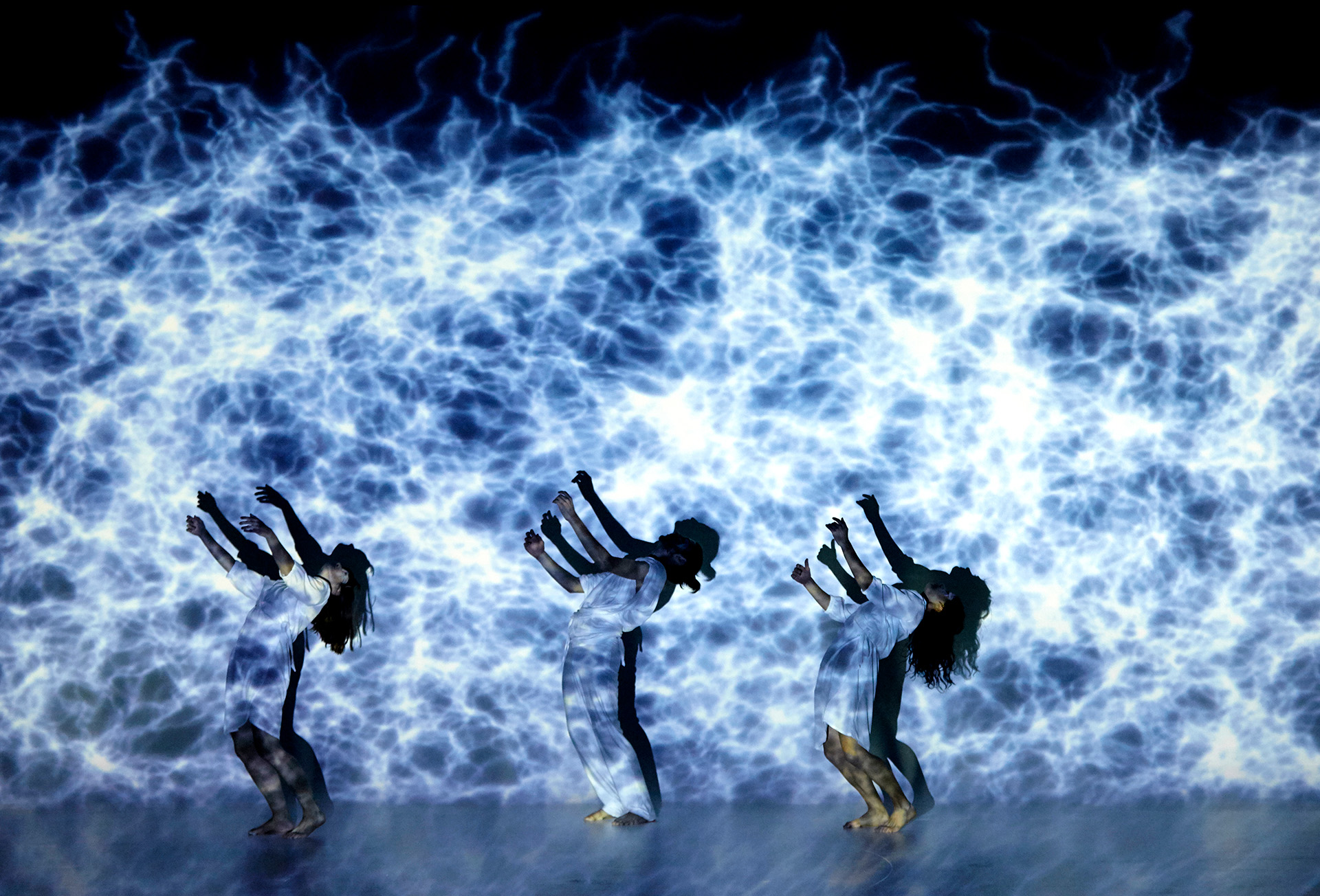 Girasomnis Signature Show