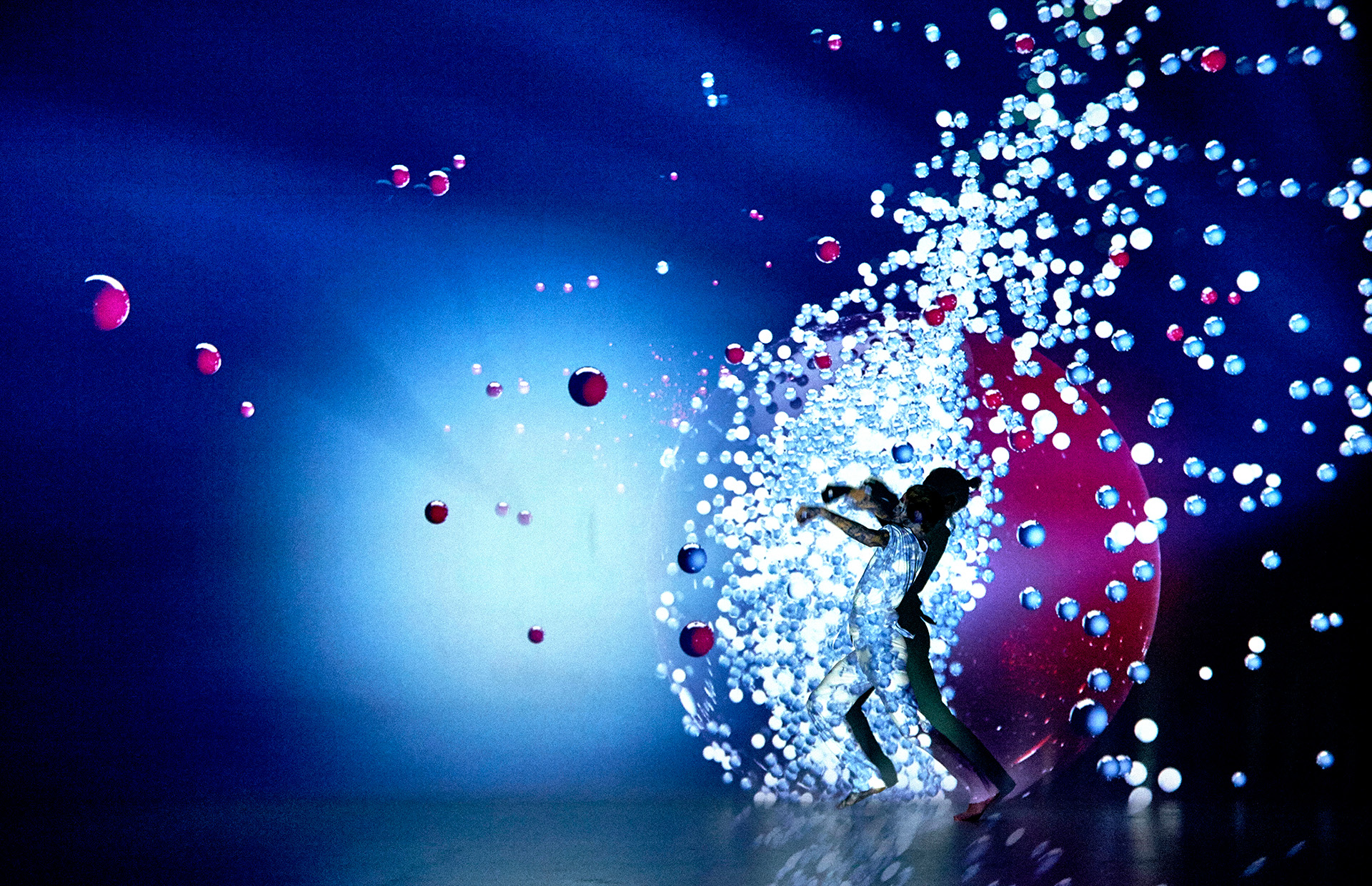 Girasomnis Signature Show